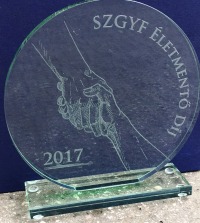 Kör üvegdíj - 21 cm